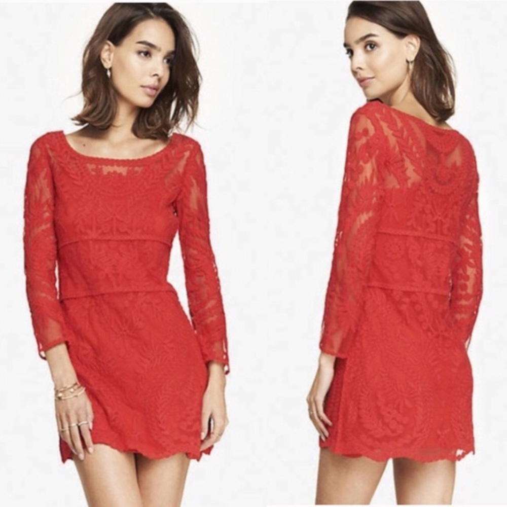 Express Baroque Embroidered Lace Dress